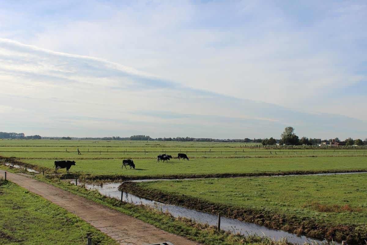 Proeftuin Veenweiden - het gebied