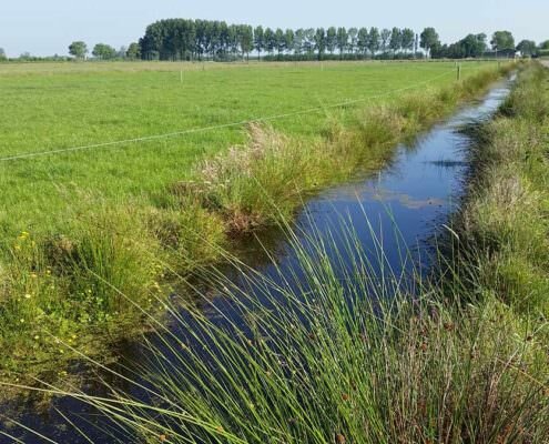 Proeftuin Veenweiden - sloot