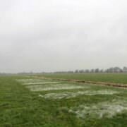 Proefveld bekalken op veengrond