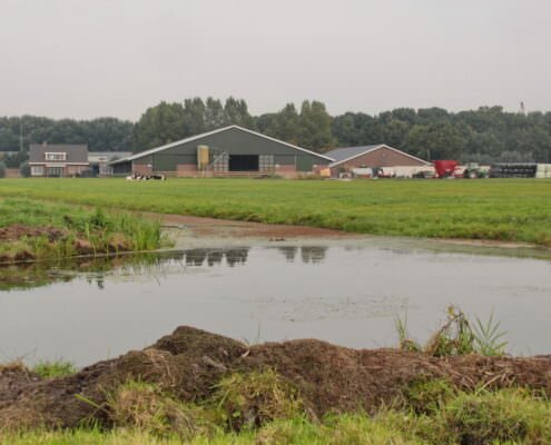 Ammoniakemissie bij melkveebedrijven