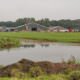 Ammoniakemissie bij melkveebedrijven