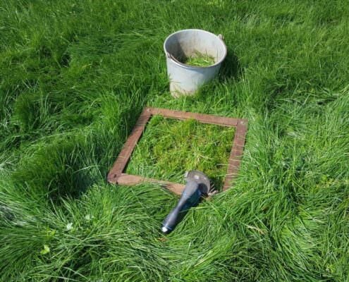 Grasmonsters