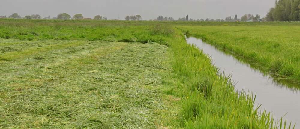 Pilotboer Verhoef, Brandwijk
