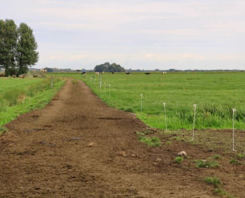 weidepad bij Wouter Beukeboom, pilotboer Proeftuin Veenweiden