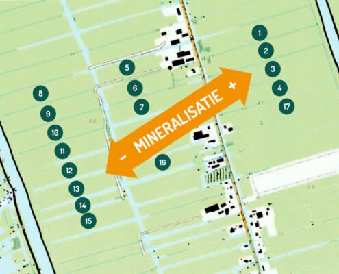 Kaart: Percelen met de verwachte mate van mineralisatie