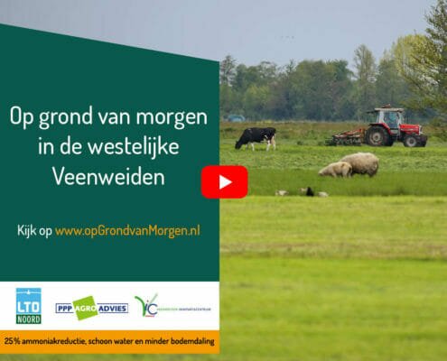 op grond van morgen in de westelijke veenweiden