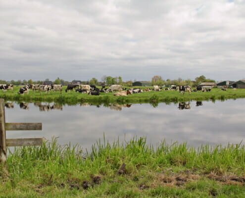 Proeftuin Veenweiden
