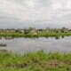 Proeftuin Veenweiden
