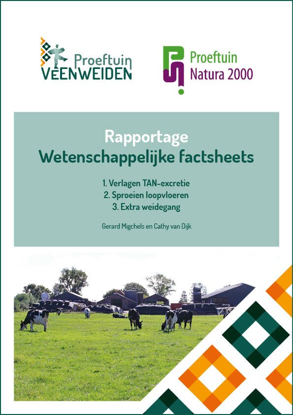 Rapportage